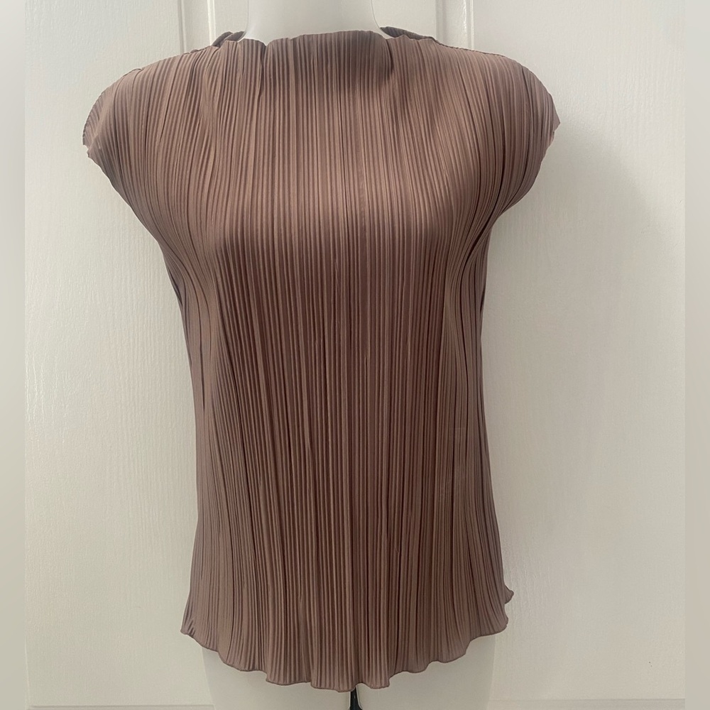 Pleated Cap-Sleeve Blouse in Mauve Brown